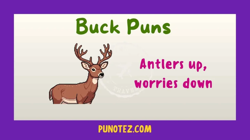 buck puns
