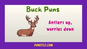 buck puns