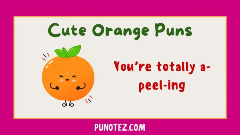 cute orange puns