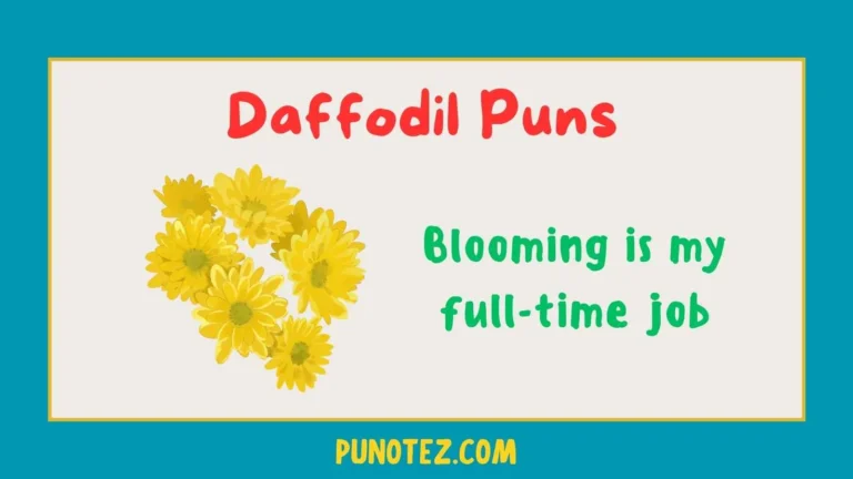 daffodil puns