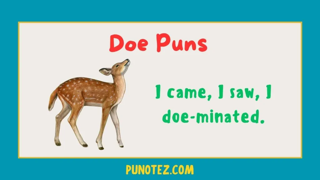 doe puns