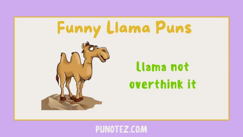 funny llama puns