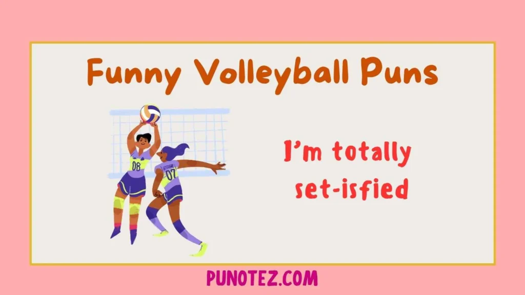 funny volleyball puns