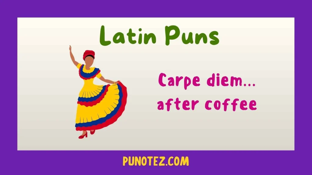 latin puns