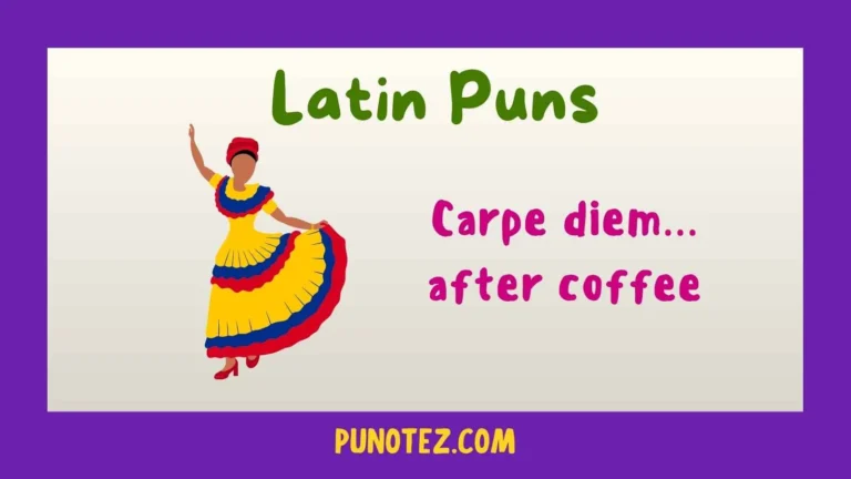 latin puns