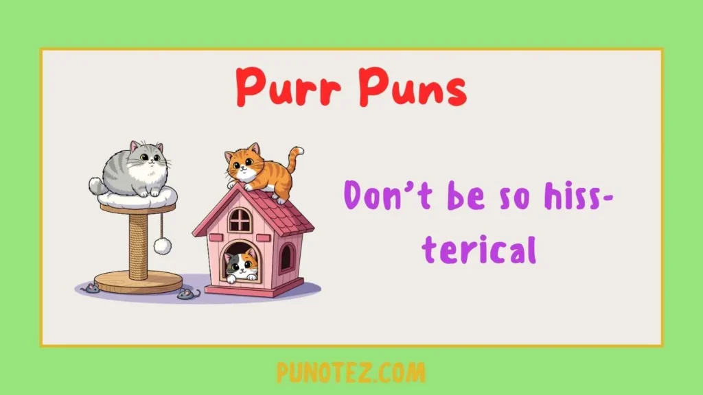 purr puns