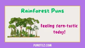rainforest puns