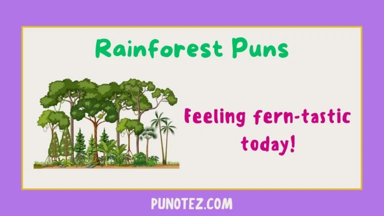 rainforest puns
