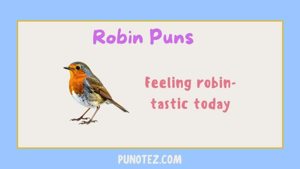 robin puns