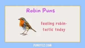robin puns