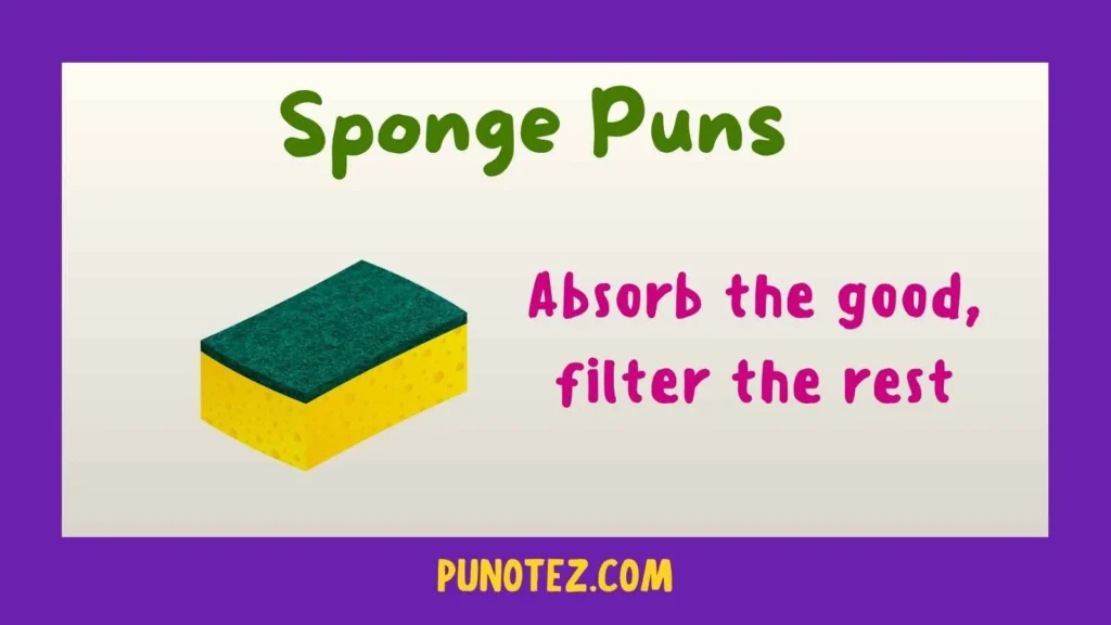 sponge puns