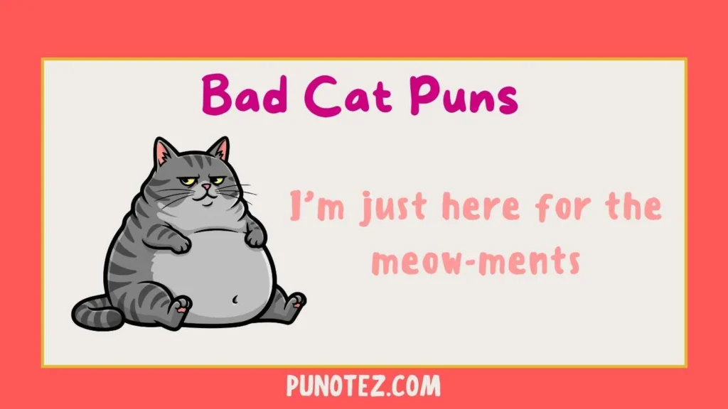bad cat puns