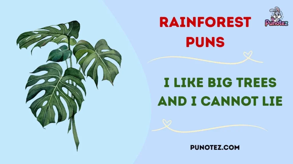 Best Rainforest One Liners