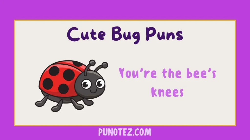cute bug puns