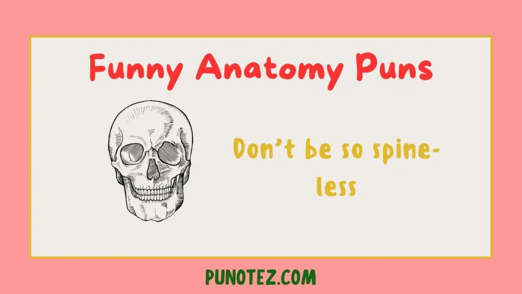 funny anatomy puns