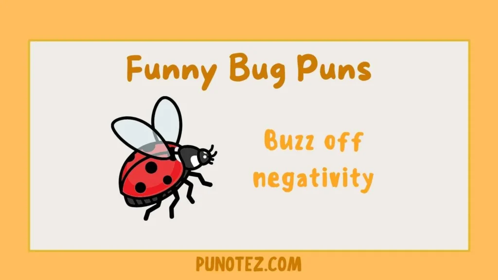 funny bug puns
