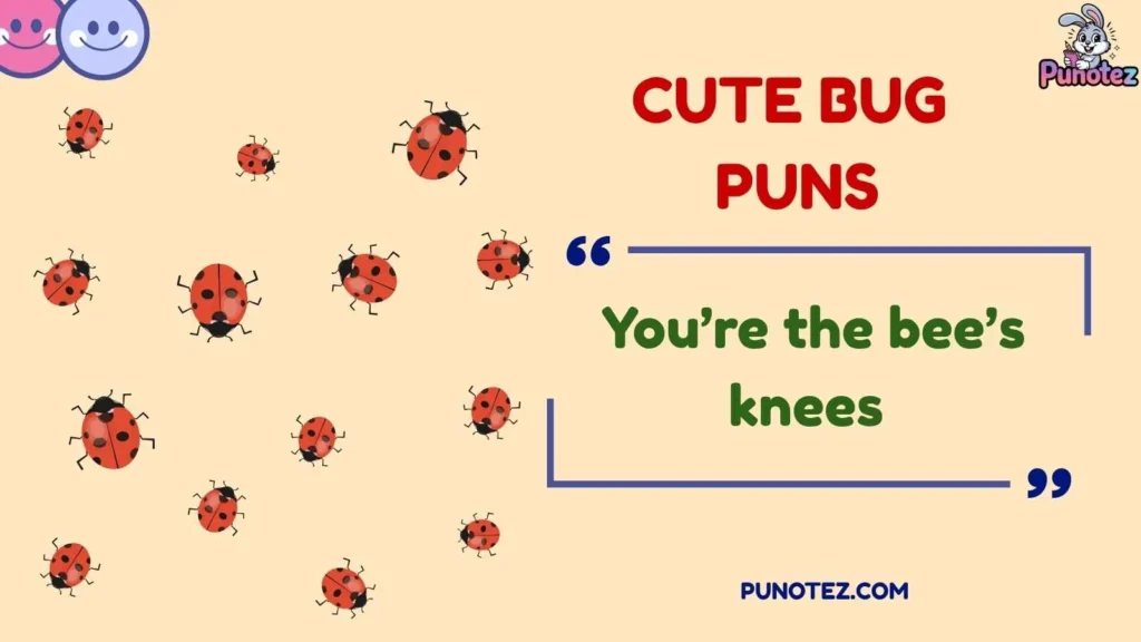 Funny Bug Puns and Captions