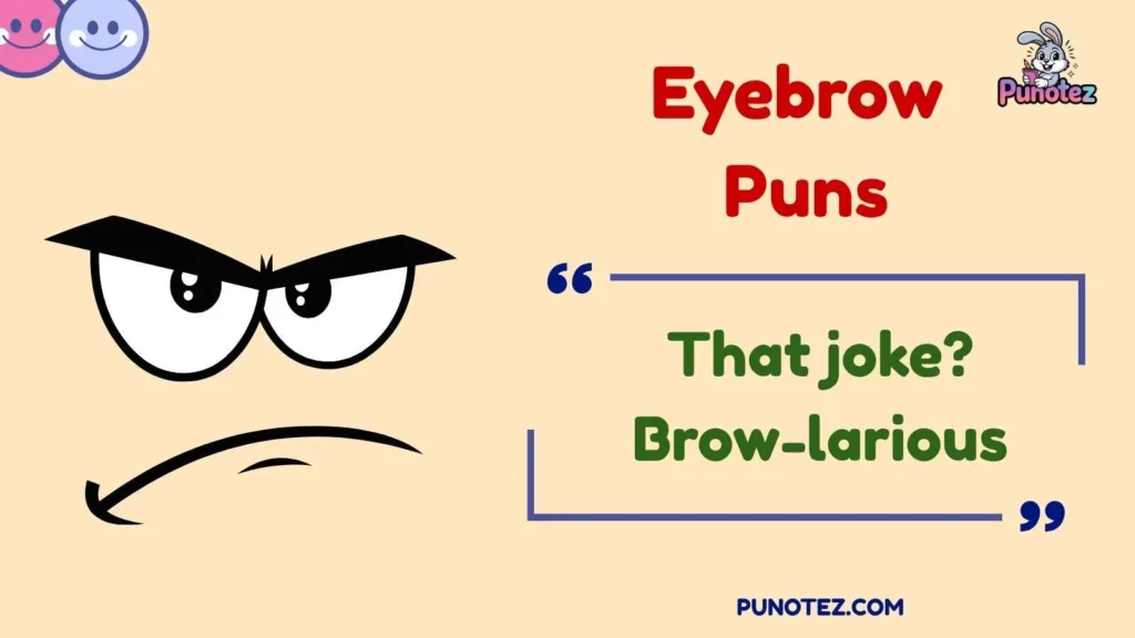 Funny Eyebrow Puns