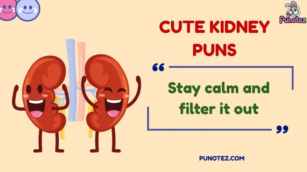 Funny Kidney Puns