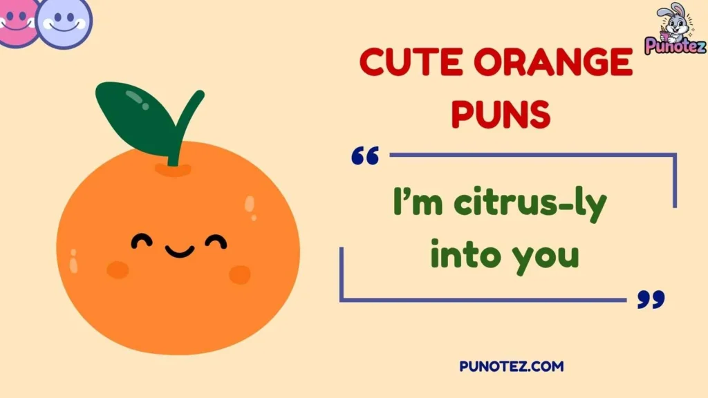 Funny Orange Puns and Captions