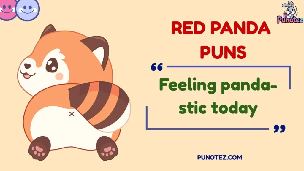Funny Red Panda Puns