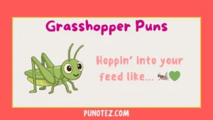 grasshopper puns