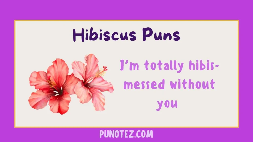 hibiscus puns
