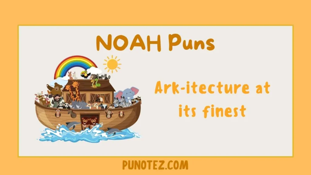 noah puns