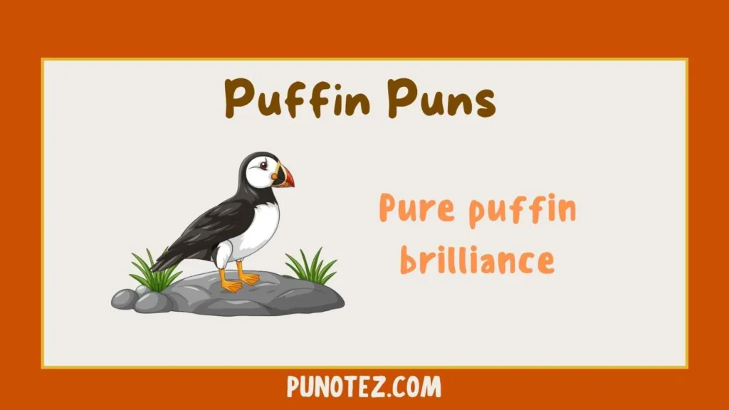puffin puns