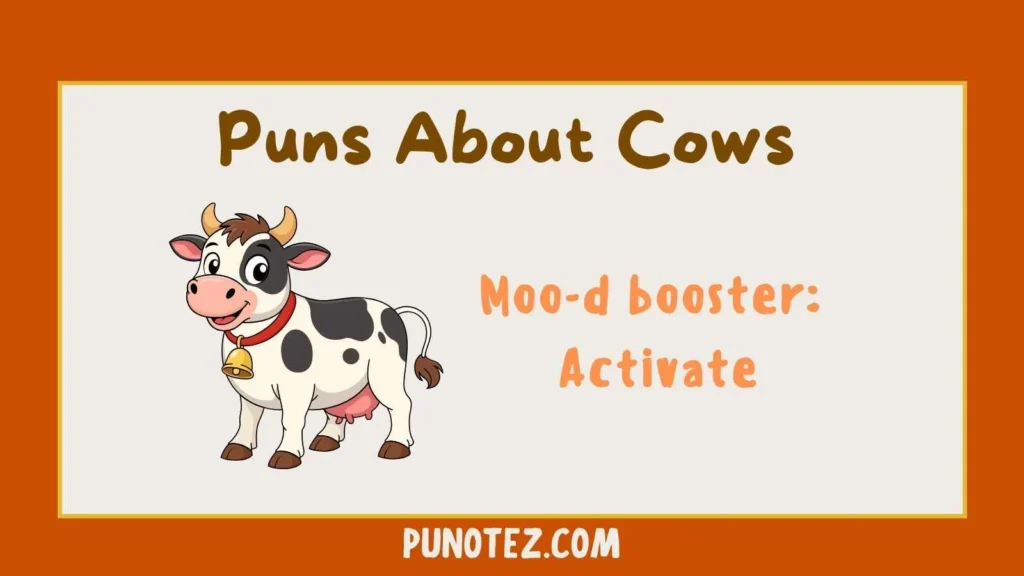 puns about cows