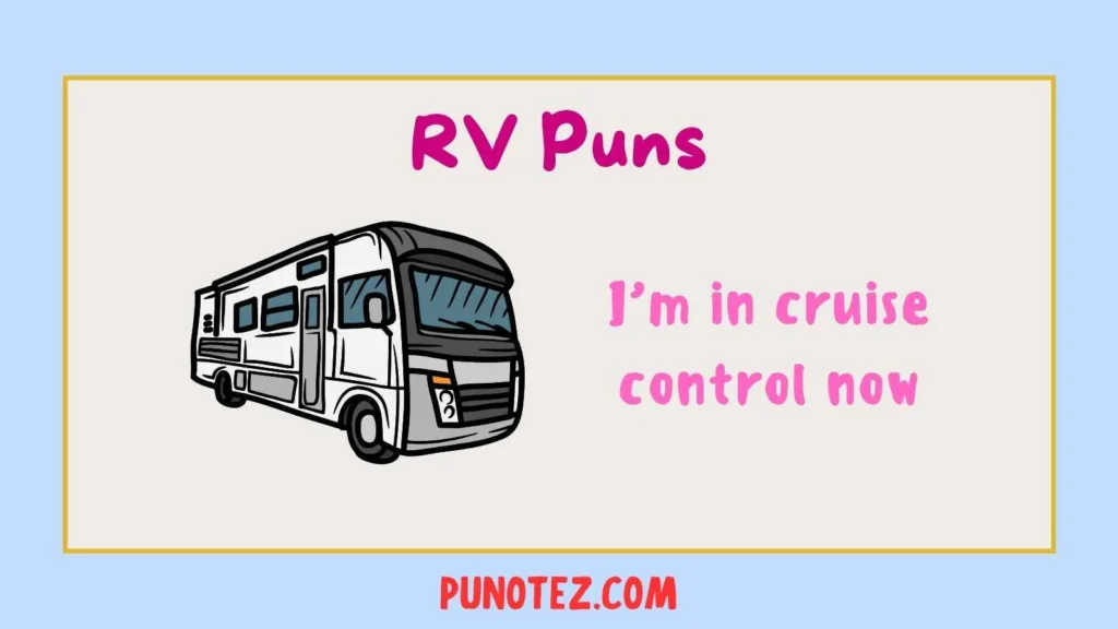 rv puns