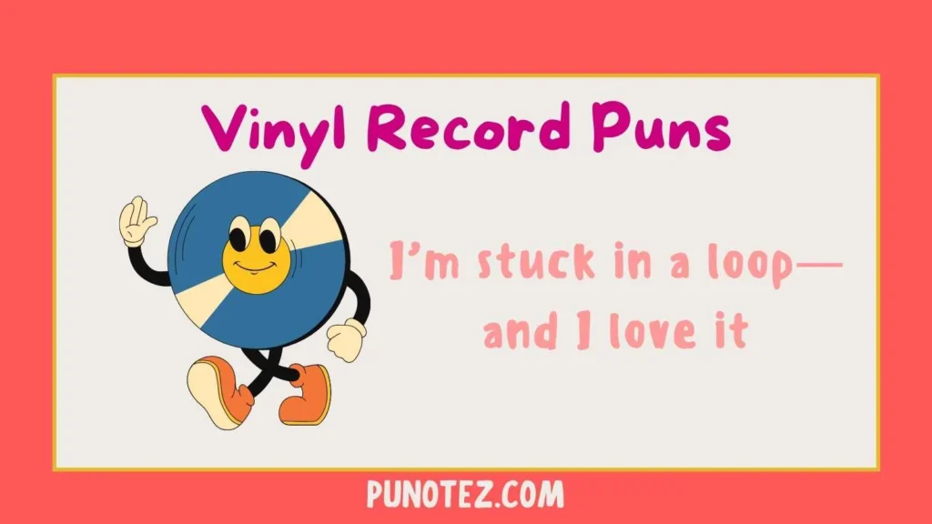 vinyl record puns